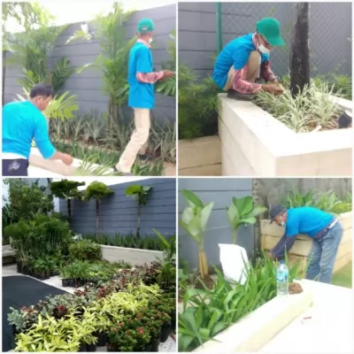 Gardening Service & Landscaping