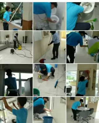 Pest Control & Hygiene Service